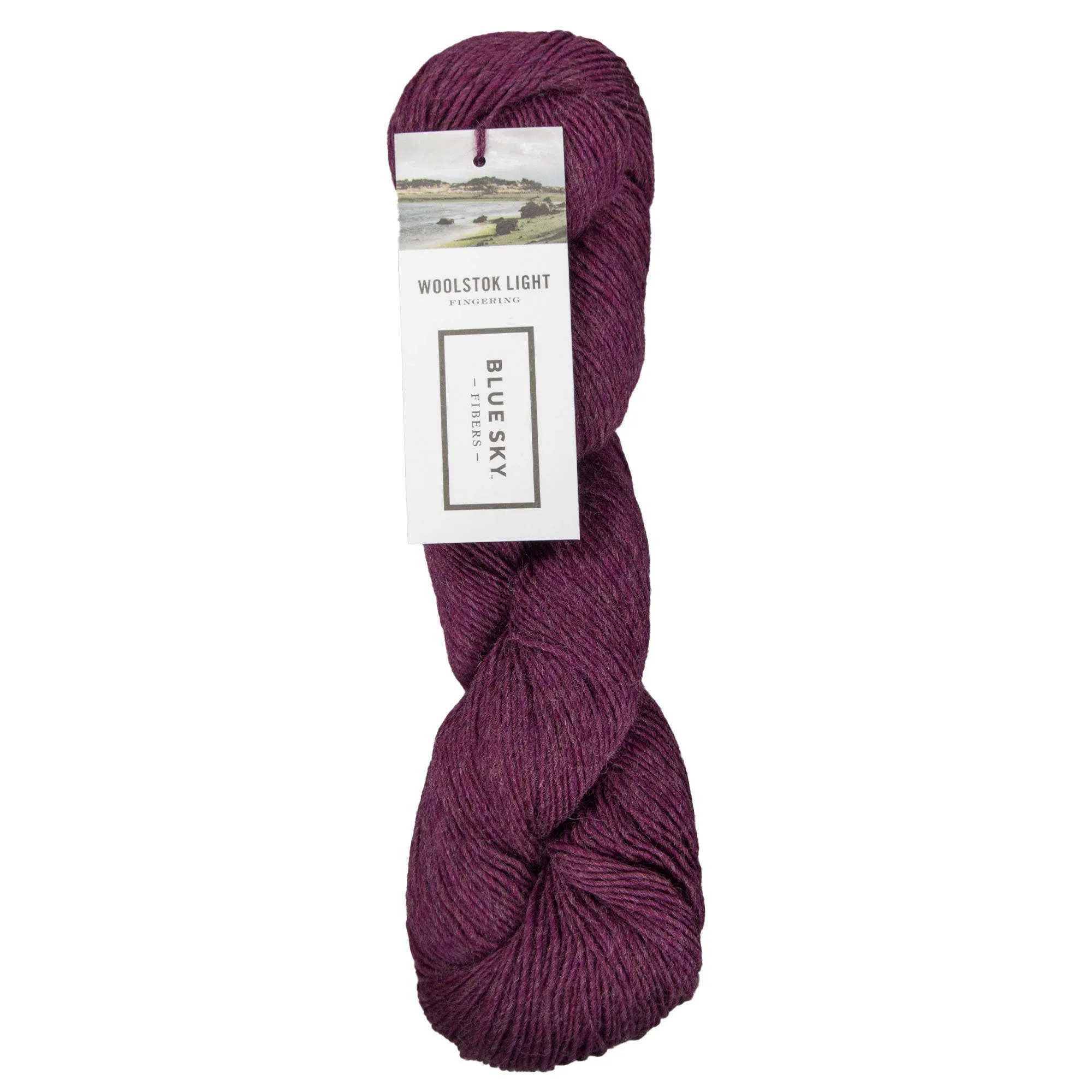 Blue Sky Fibers Woolstok Light Yarn - 2307 Pressed Grapes