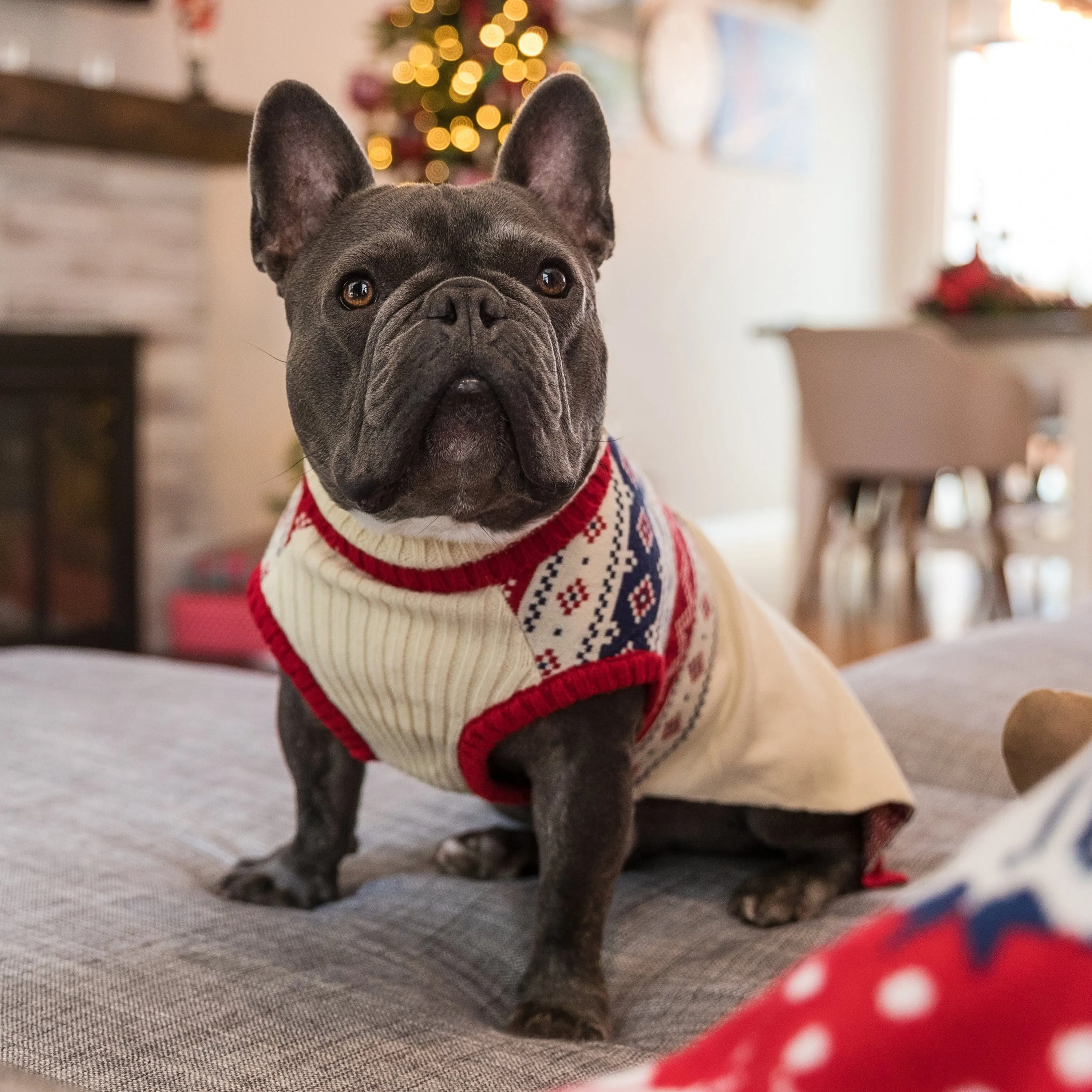 Fair Isle Family Matching Sweater in Cream, Dog - Chic Creamy White Sweater